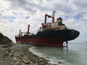 Сухогруз РИО